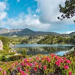 In Near Pyrenees