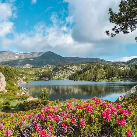 In Near Pyrenees