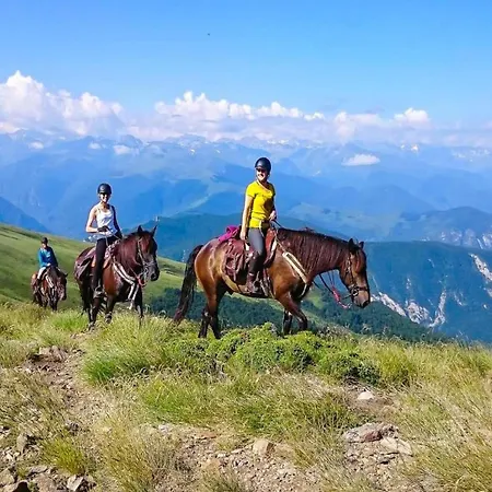 In Near Pyrenees * Quillan